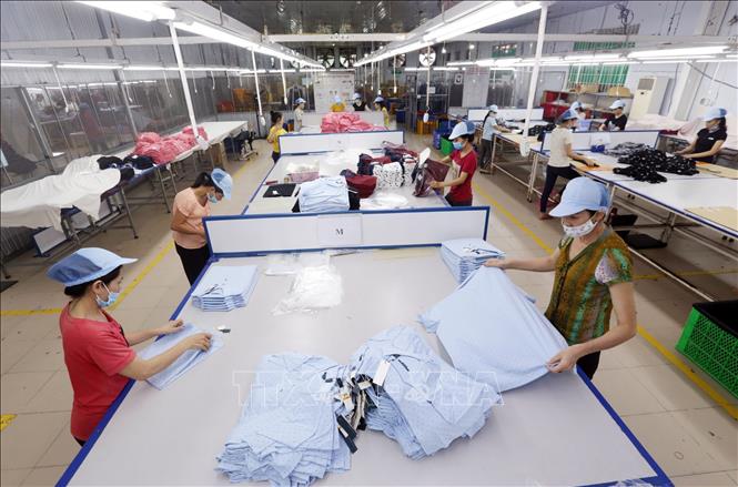 Cong Ty Co Phan Det Dai An Phu Tuyen Nhan Vien Kinh Doanh Ke Toan 4