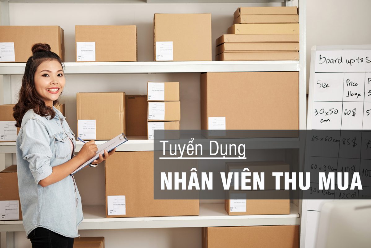 Cong Ty Tnhh Gl Commerce Tuyen Dung 2 Vi Tri Quan Ly Kinh Doanh Va Nhan Vien Thu Mua Theo Doi Don Hang 3