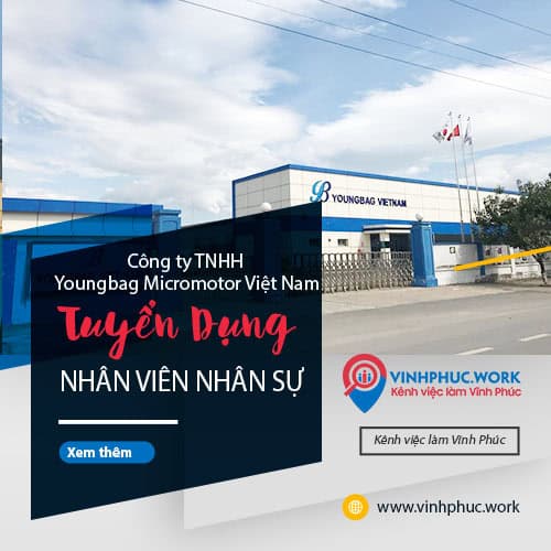 image cong ty tnhh youngbag micromotor viet nam tuyen dung nhan vien nhan su 7 030625 091233