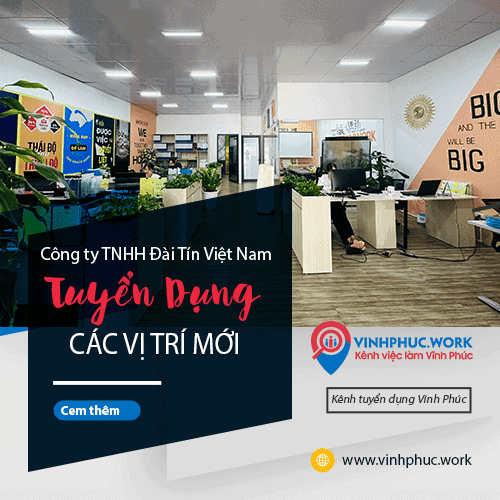 image cong ty tnhh dai tin viet nam thong bao tuyen dung nhieu vi tri dau nam 2026 5 260226 091006