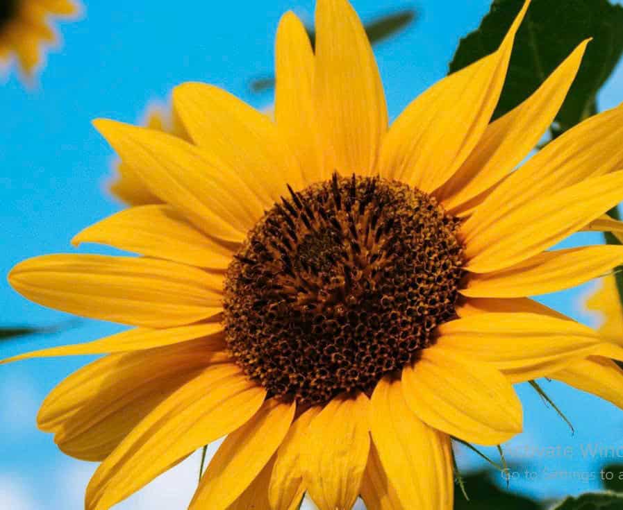 image z7636267553466 611b26d622c6fd15103e06b4302d0cae 190326 071805