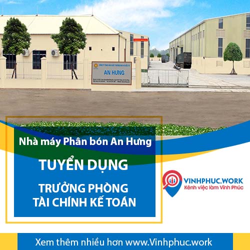 image pho phong tai chinh ke toan cong ty tnhh thuong mai va dau tu an hung tuyen dung 4 160626 042230